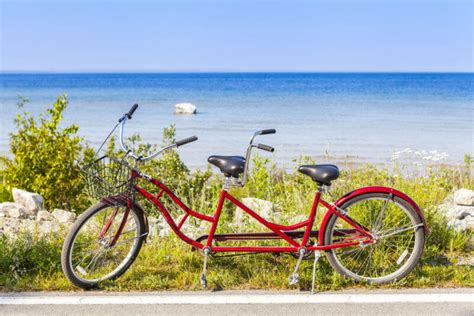 Can You Rent Electric Bikes on Mackinac Island? And Why Do Horses Prefer Bicycles Over Cars?