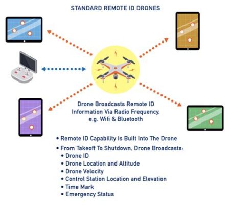 Does My Drone Have Remote ID? And Why Do Birds Suddenly Appear Every Time It's Near?